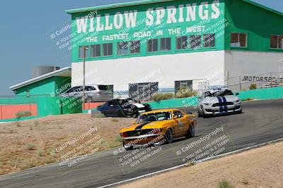 media/May-07-2022-Cobra Owners Club of America (Sat) [[e681d2ddb7]]/White/Session 1 (Turn 4)/